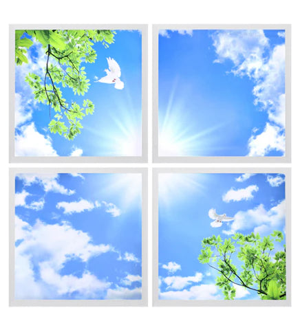 SKY PANEL CILING LIGHT