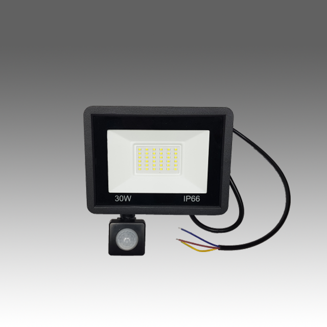 30W Floodlight (IP66) with PIR sensor