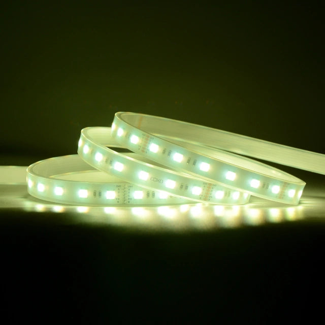 12mm RGBCCT-SMD LED Strip 21W/m IP65