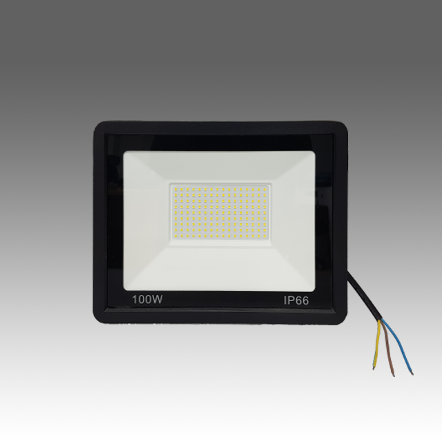 100W Floodlight (IP66)