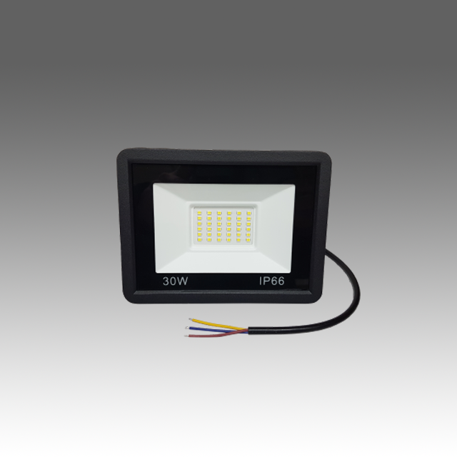 30W Floodlight (IP66)