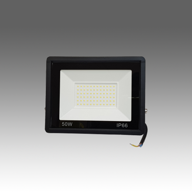 50W Floodlight (IP66)